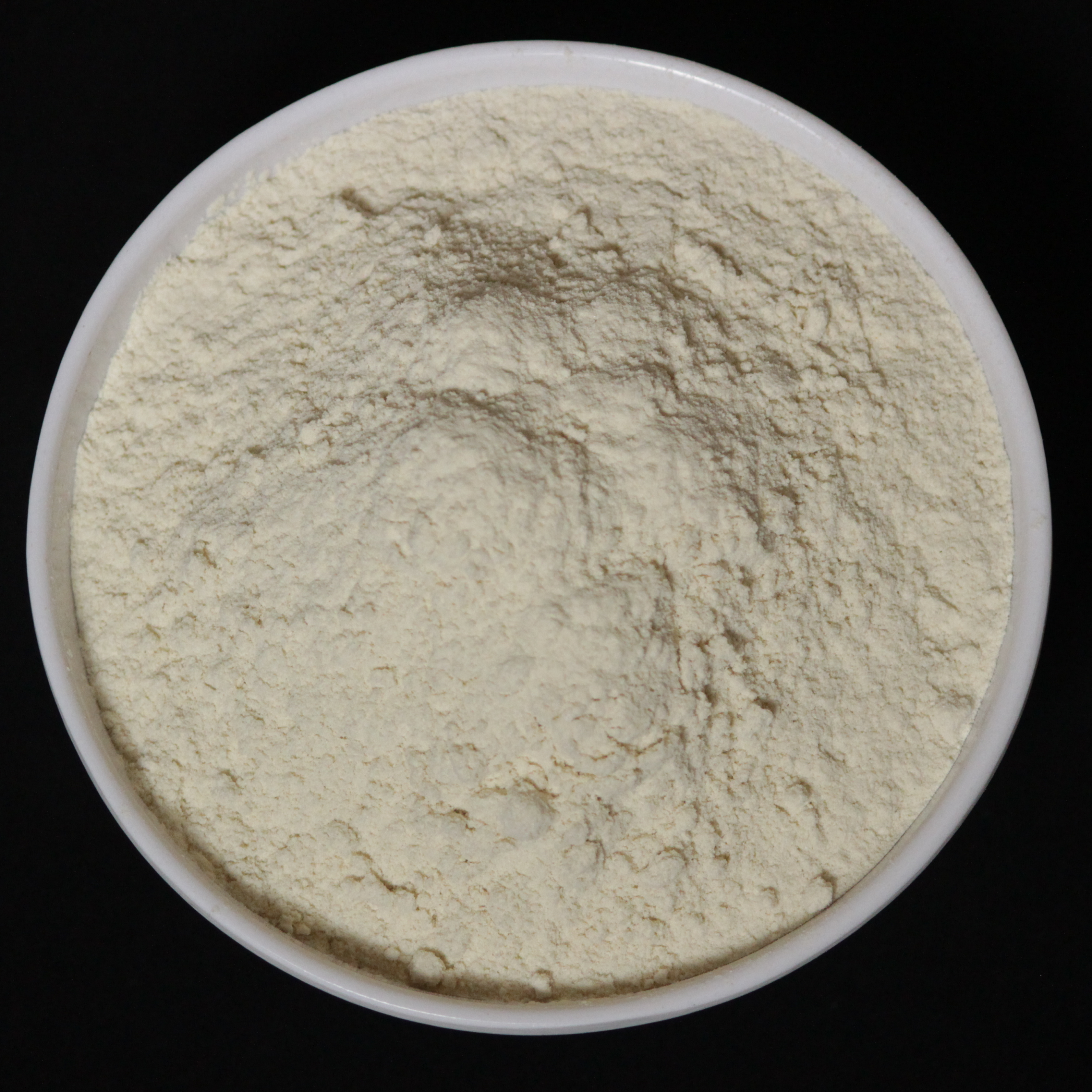 White Onion Powder
