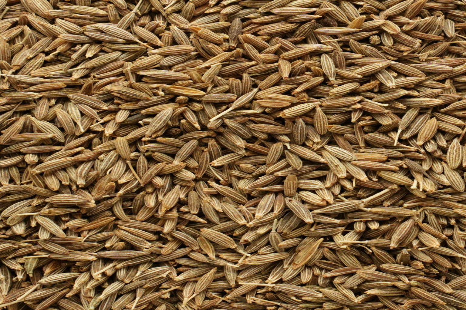 cumin seeds